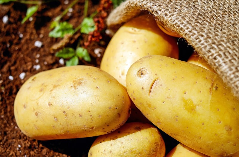 Organic Vegetables